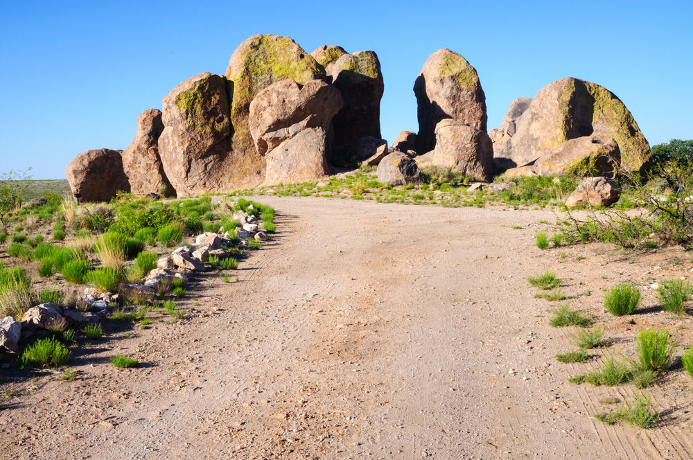 7. New Mexico